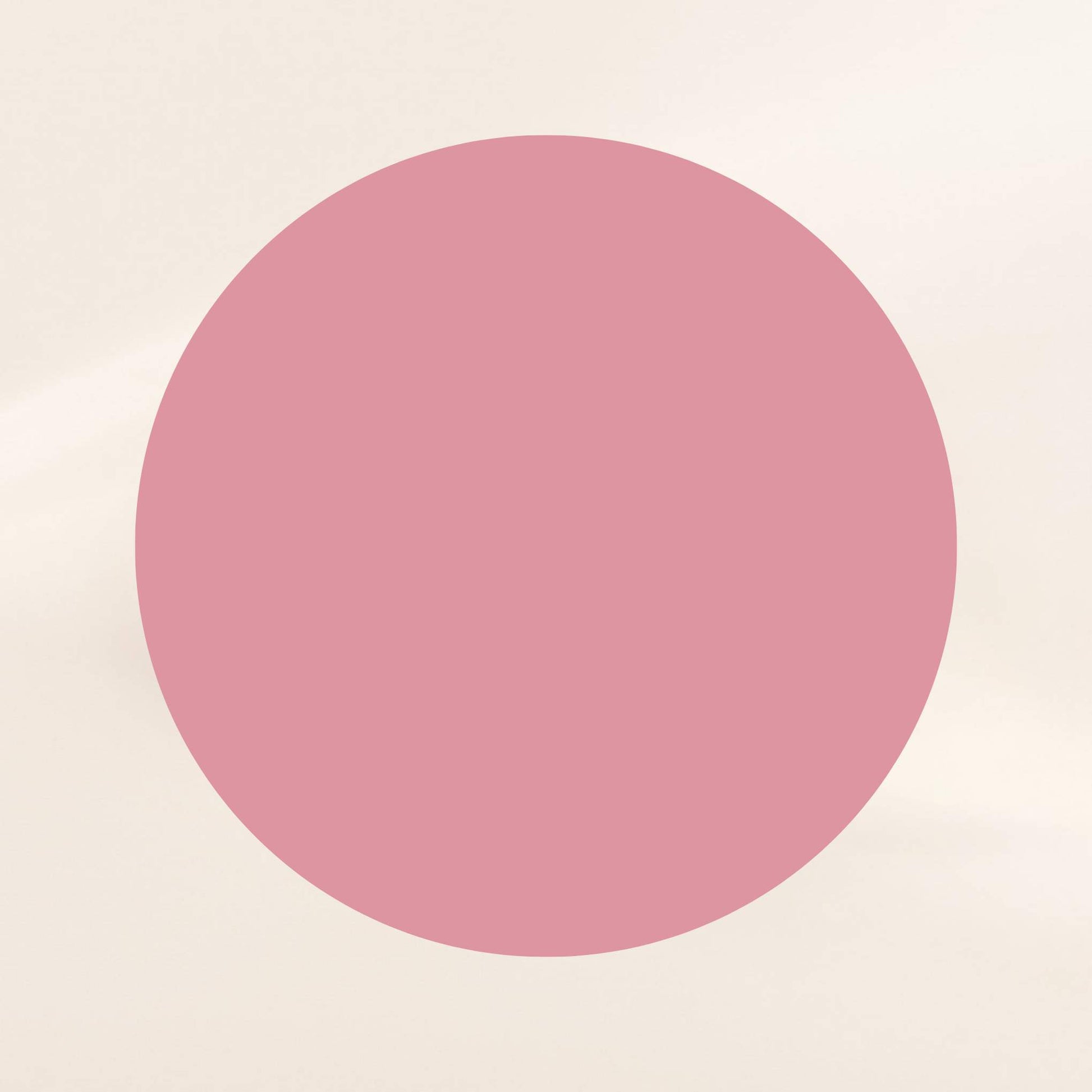 Oplenza Opulent Matte Lip Kit-Out Loud swatch