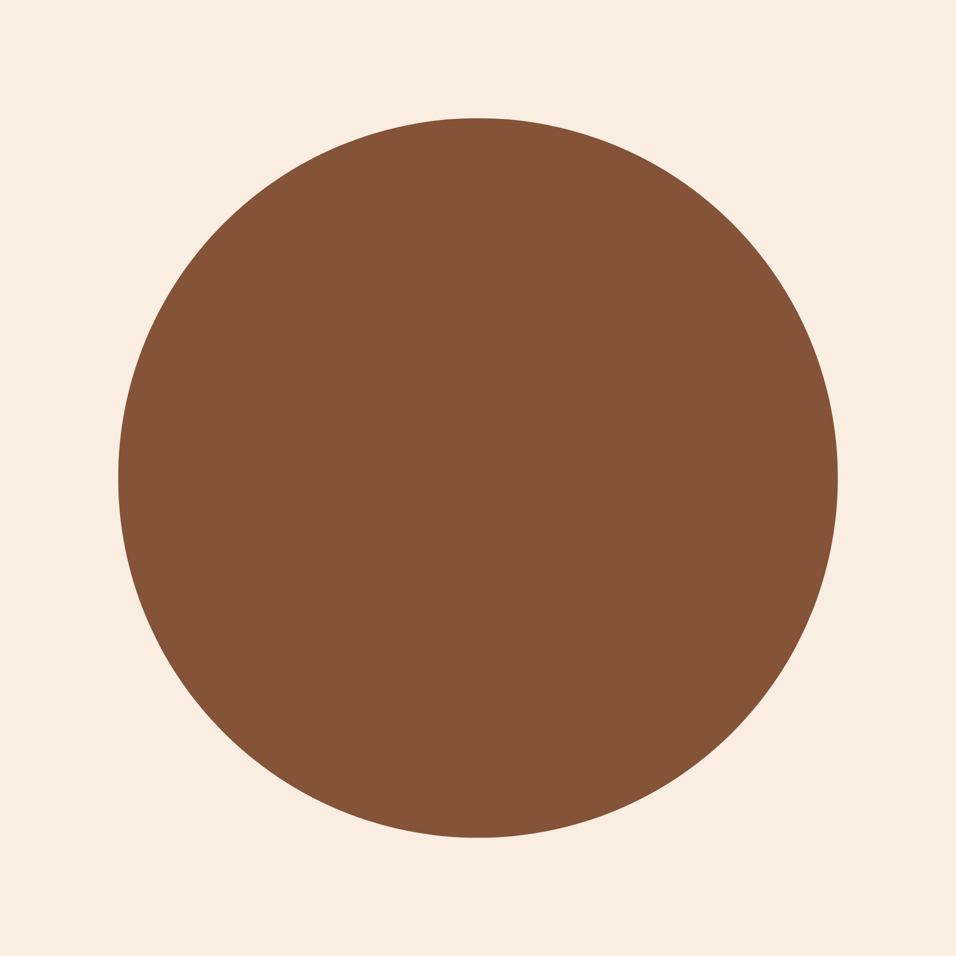 Oplenza Precision Brow Pencil swatch- Brown, long-lasting, budget, professional makeup eyebrow pencil for a radiant makeup look
