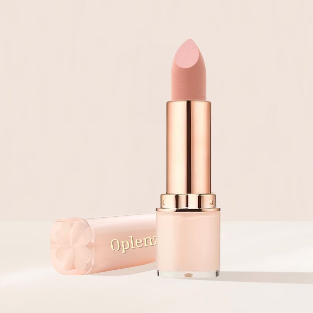 Signature Moist-Matte Lipstick shade 14 Blank Slate