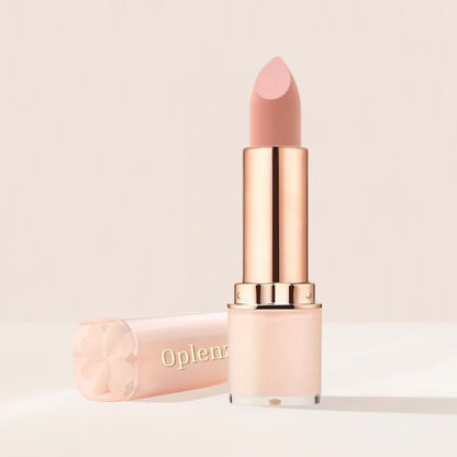 Signature Moist-Matte Lipstick shade 14 Blank Slate